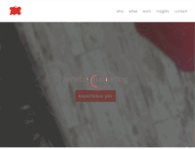 Tablet Screenshot of amebamarketing.com